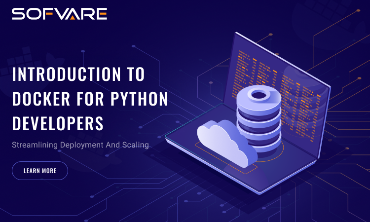 Python Development Service
